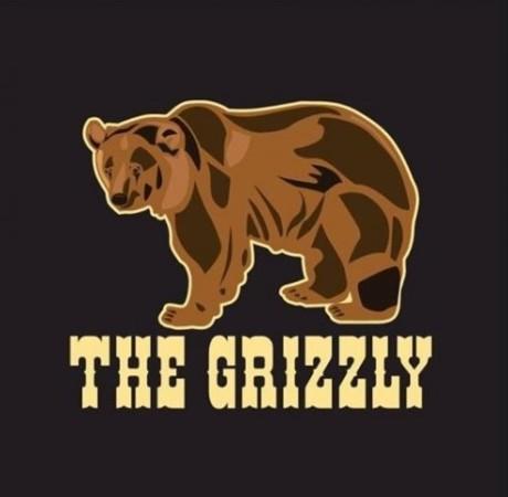 Les Meilleurs Bars à Bordeaux - The Grizzly Pub