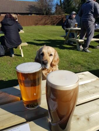 Best Sports Bars in North Walsham - Orchard Gardens