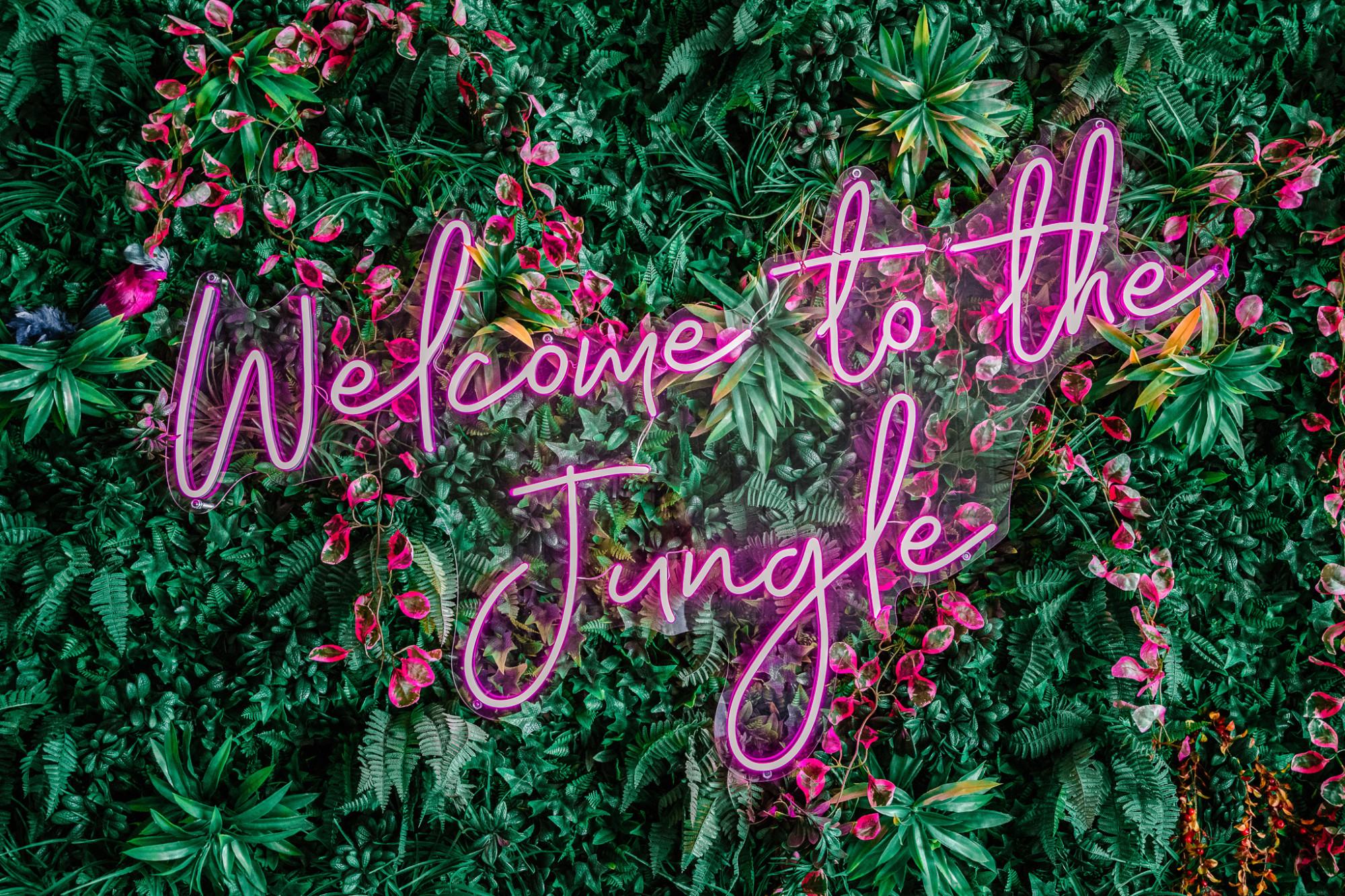 Best Sports Bars in North Wollongong - The Frisky Flamingo