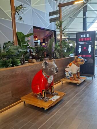 Best Sports Bars in PORT MACQUARIE - Panthers Port Macquarie