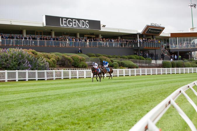 Best Sports Bars in Moonee Ponds - Moonee Valley Legends