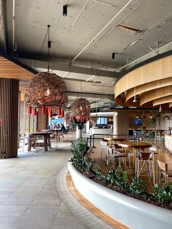 Best Sports Bars in Freshwater - Harbord Diggers