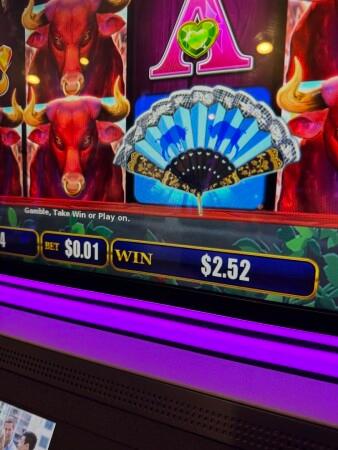 Best Sports Bars in Melbourne - The Golden Nugget