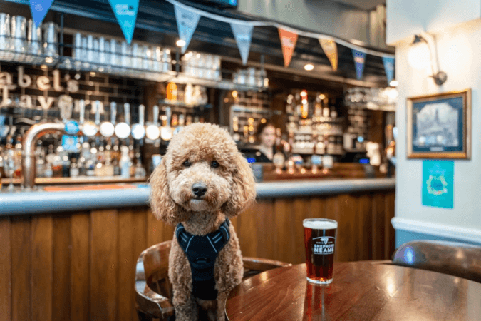 Best Sports Bars in London - Mabel's Tavern
