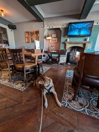 Best Sports Bars in Beverley - Green Dragon