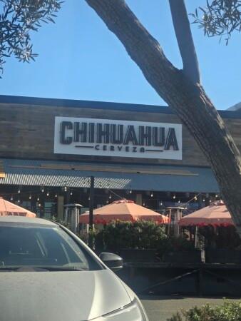 Best Sports Bars in Newport Beach - Chihuahua Cerveza