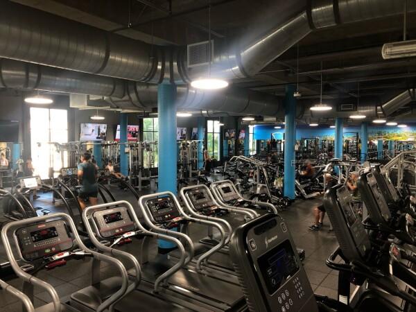 Best Sports Bars in Kailua - Ufc Gym @ Kailua Hi