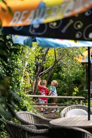 Best Sports Bars in Twickenham - Prince Albert