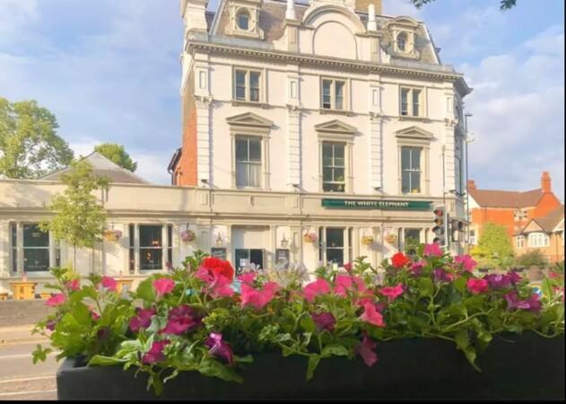 Best Sports Bars in Northampton - White Elephant (Northampton)