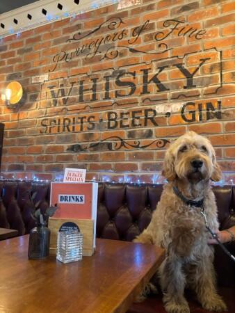 Best Sports Bars in Lanarkshire - Drouthy's (Glasgow)