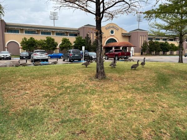 Best Sports Bars in Grand Prairie - Bar & Book @ Lone Star Park