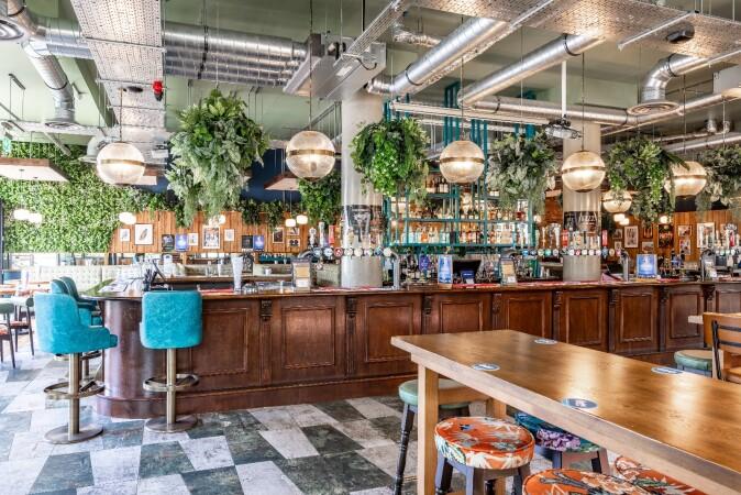 Les Meilleurs Bars à Hove - The Sussex cricketer