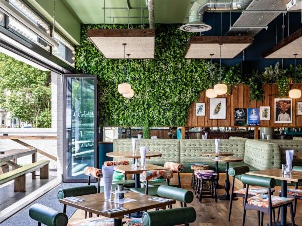 Les Meilleurs Bars à Hove - The Sussex cricketer