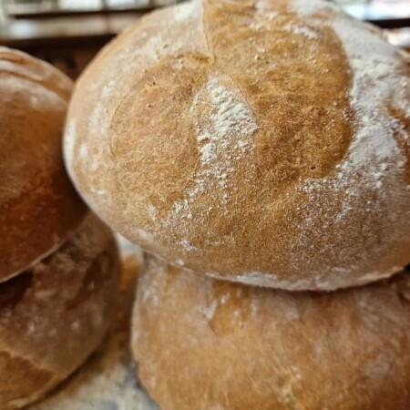 Les Meilleurs Bars à Hove - The Sussex cricketer