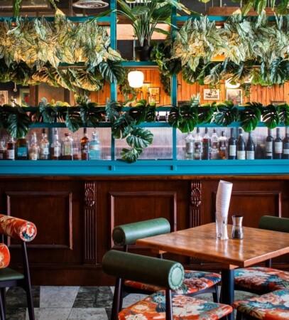 Les Meilleurs Bars à Hove - The Sussex cricketer