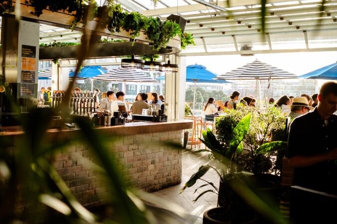 Best Sports Bars in Auckland CBD - Dr Rudi's