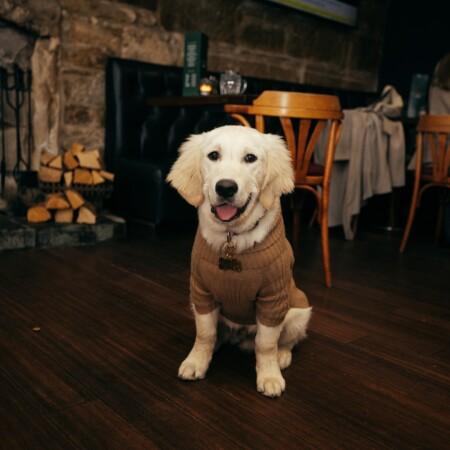 Best Sports Bars in Glasgow - The Drake