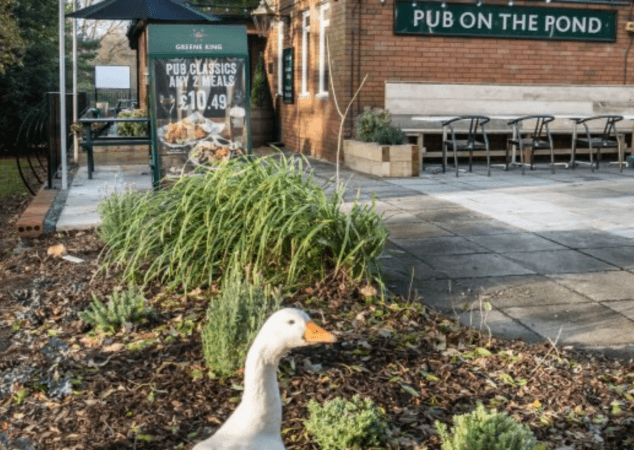 Best Sports Bars in Swansea - Pub on the Pond