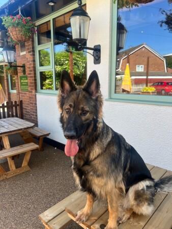 Best Sports Bars in Warrington - Rope & Anchor