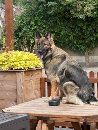 Best Sports Bars in Warrington - Rope & Anchor