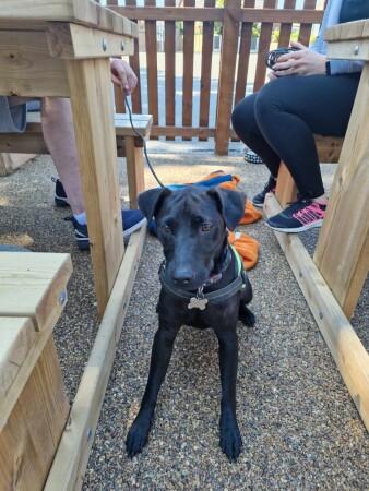 Best Sports Bars in Warrington - Rope & Anchor