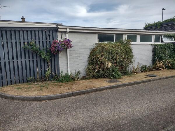 Beste Sportsbars in Norfolk - The Silver Fox