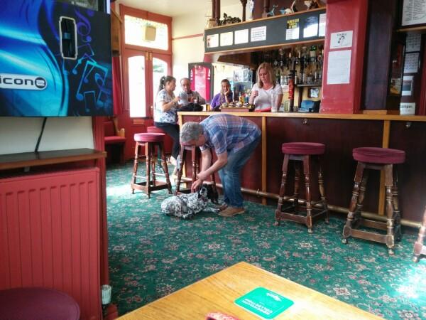 Les Meilleurs Bars à Sevenoaks - Mount Pleasant (Hastings) Ltd.