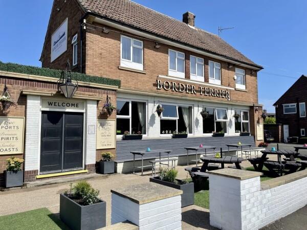 Best Sports Bars in Newcastle - Border Terrier