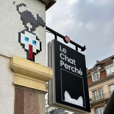 Best Sports Bars in Strasbourg - Le chat perché