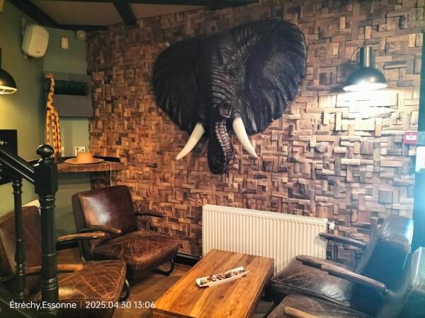 Les Meilleurs Bars à Etrechy - Le Safari