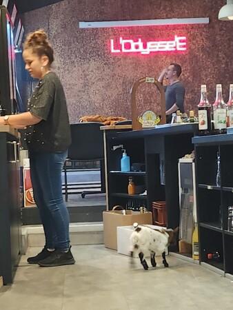 Les Meilleurs Bars à Saint-renan - L'odyssée