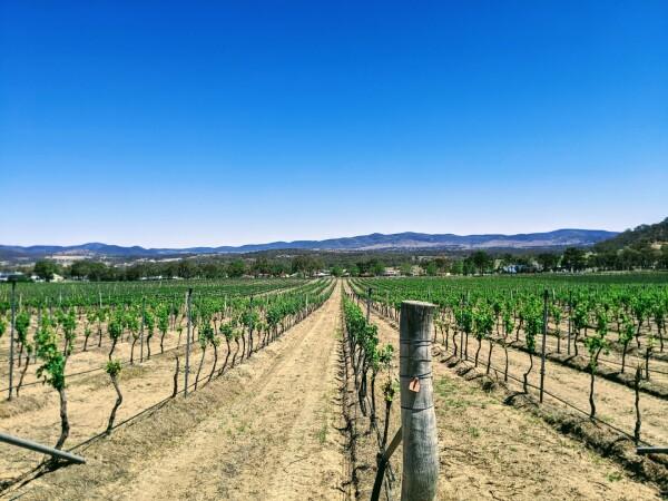 Best Sports Bars in Ballandean - St Judes Estate