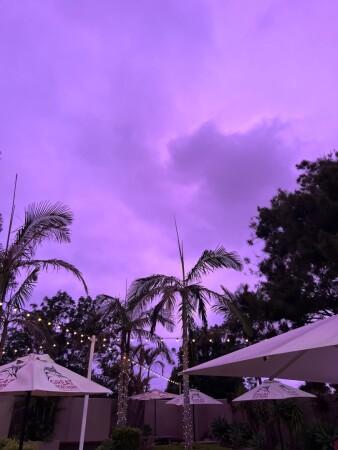 Best Sports Bars in Fairy Meadow - Charles Hotel