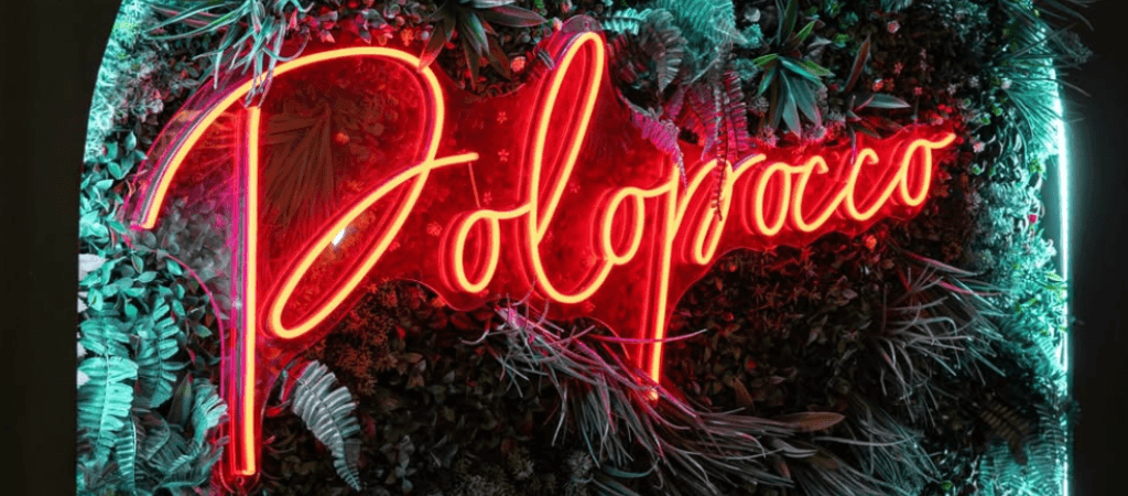 Les Meilleurs Bars à Honfleur - Polopocco