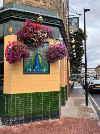 Best Sports Bars in London - The Peacock