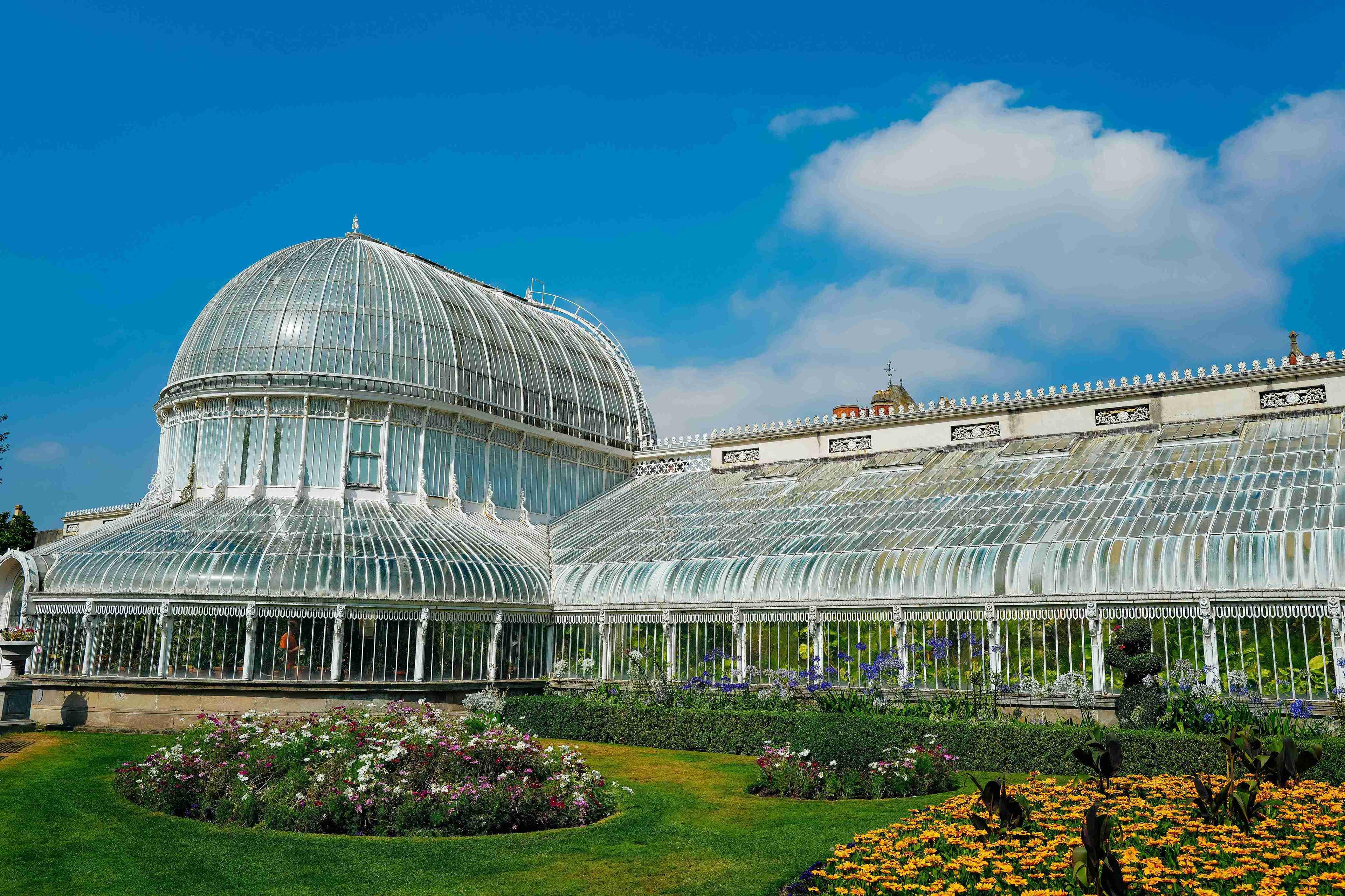 Sports bar, Sports pub, Botanic