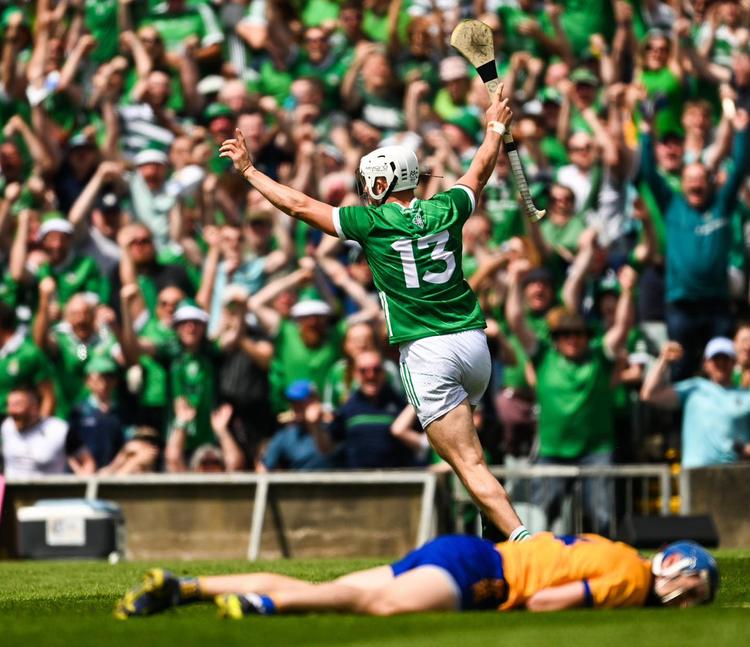 The best bars to make sure you don't miss any Limerick Hurling games.