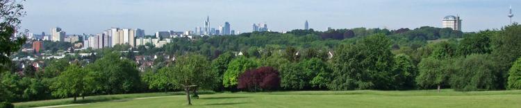 Die besten Sportsbars in Bornheim mit Live-Sport