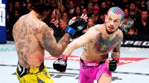 The best bars to make sure you don't miss any upcoming Sean O'Malley fight.