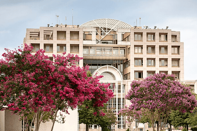 Suivez l’actualité du rugby en plein cœur de Colomiers, fief du Colomiers Rugby en Pro D2.