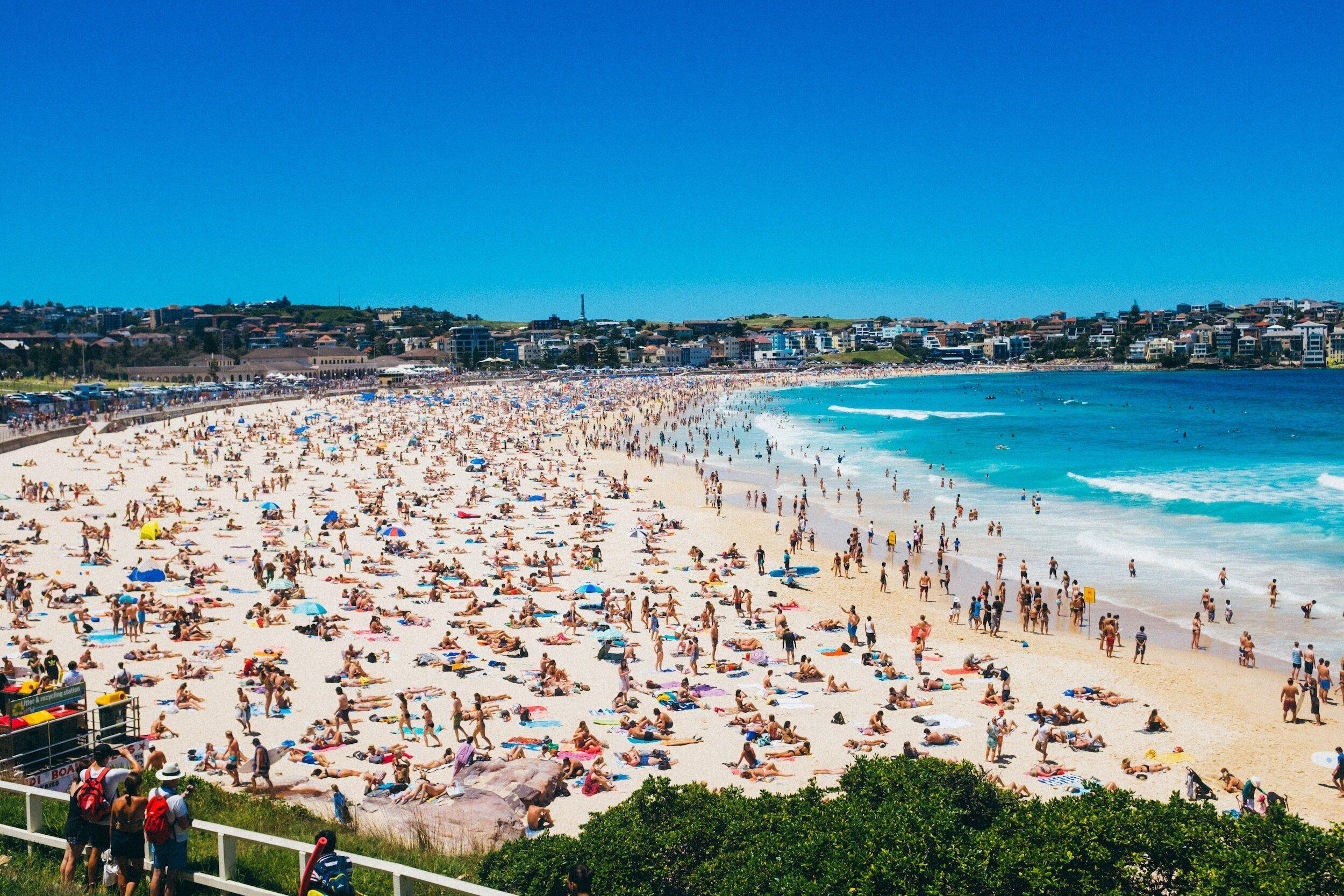sports bars in Bondi, pubs showing sport in Bondi, live sport Bondi