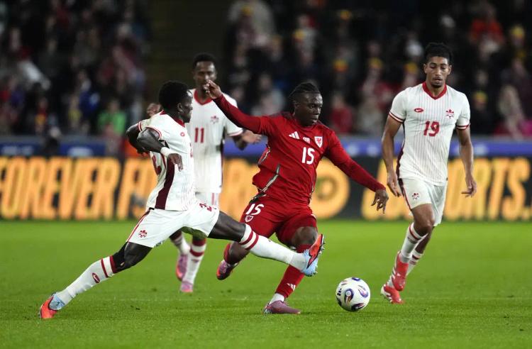 Discover the top venues showing Les Rouges on the big screen