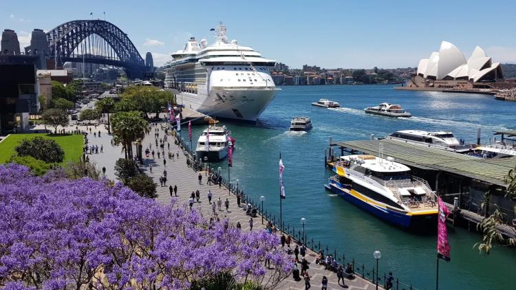 Find the best venues in Circular Quay