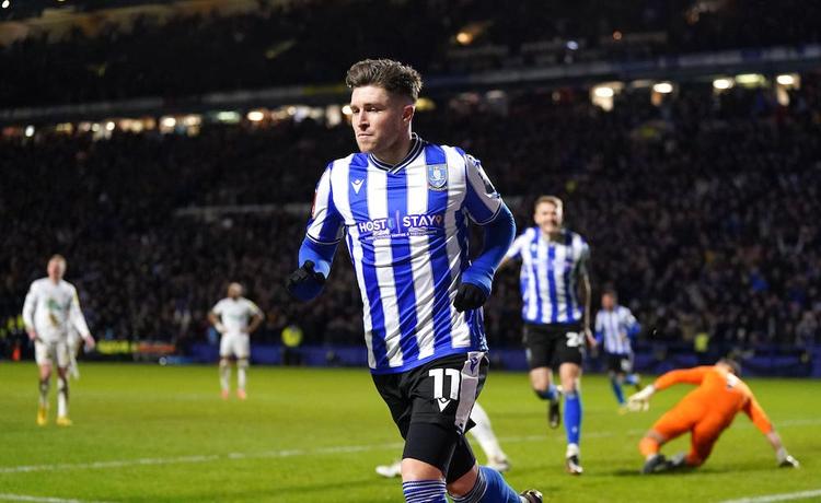 The best bars to make sure you don't miss any Sheffield Wednesday games.