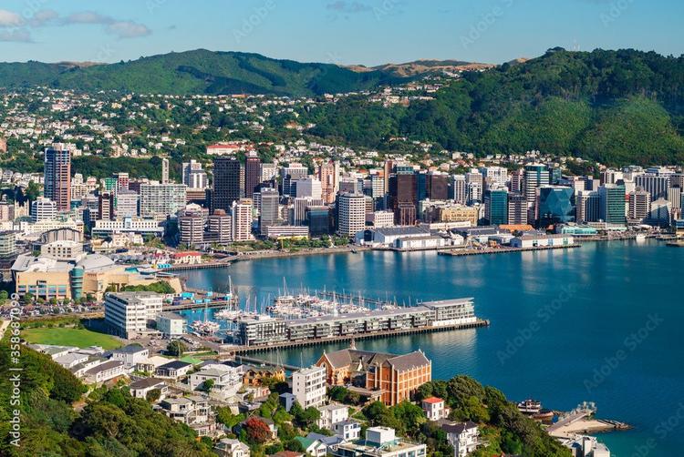Explore Wellington with FANZO