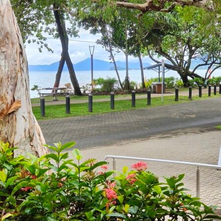 Best Sports Bars in Palm Cove - Cairns Surf Club - Palm Cove