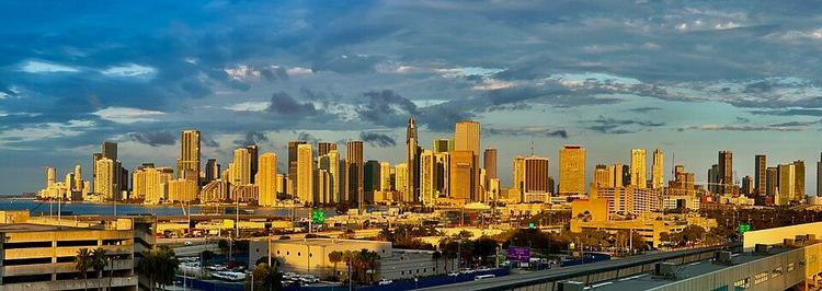 Discover your next favorite bar in Miami