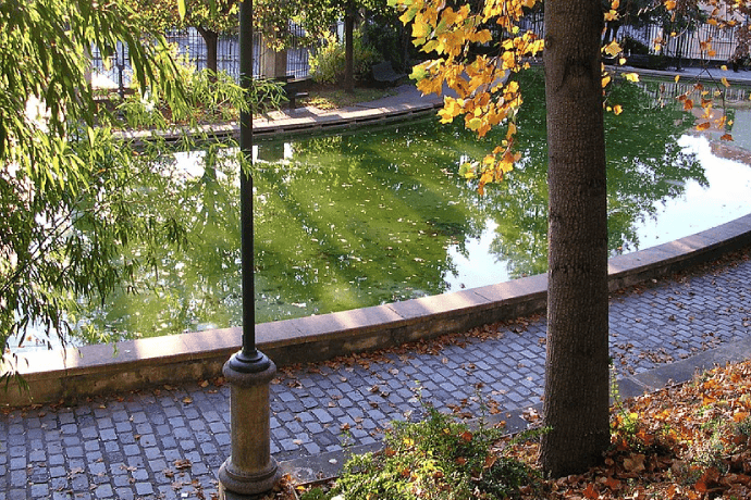 Entre MĂ©nilmontant et Gambetta, dĂ©couvrez des bars sportifs conviviaux oĂč partager vos soirĂ©es match entre amis ou supporters passionnĂ©s.