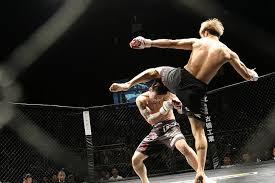 Discover venues showing UFC cards live, with full fight coverage and a buzzing crowd atmosphere.